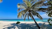 Die Malediven sind ein beliebtes Urlaubsdomizil.