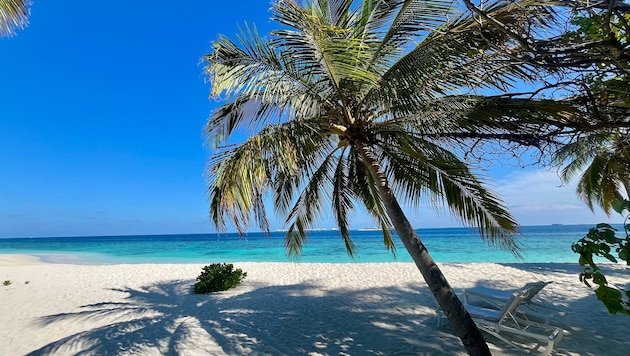 Die Malediven sind ein beliebtes Urlaubsdomizil.