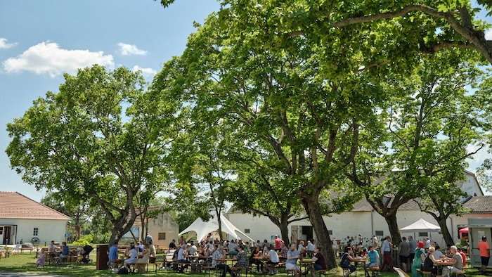 Hofmarkt am Bio-Landgut Esterhazy in Donnerskirchen.