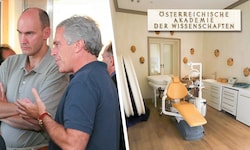 Mathematik-Professor Nowak (Bild li.) im Austausch mit Serienmissbrauchs-Täter Epstein. Er war ...