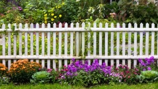 Die Beamten konnten den jungen Dieb rasch fassen – er hatte allerdings seine ...