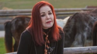 Priscilla Presley ist eine große Tierfreundin. In einem Pro-Tier-Video, das jüngst von Gut ...