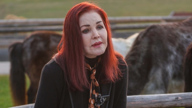 Priscilla Presley ist eine große Tierfreundin. In einem Pro-Tier-Video, das jüngst von Gut ...