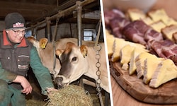 Anthoferbauer Hans Moser verwertet die Milch von seinen Jersey-Kühen. Neuerdings macht er daraus ...