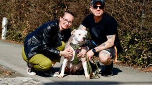 Mit dem neuen Namen „Lotta“ startet „Aurora“ in ihr neues, schönes Leben. Bei einem enzückenden ...