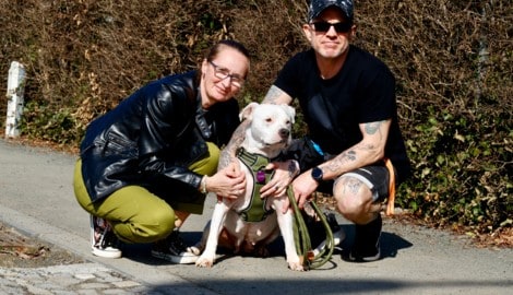 Mit dem neuen Namen „Lotta“ startet „Aurora“ in ihr neues, schönes Leben. Bei einem enzückenden ...