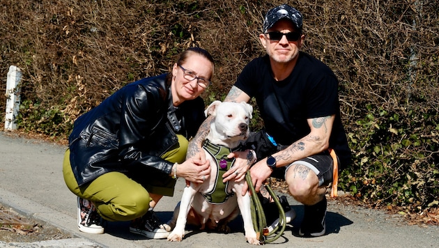 Mit dem neuen Namen „Lotta“ startet „Aurora“ in ihr neues, schönes Leben. Bei einem enzückenden ...