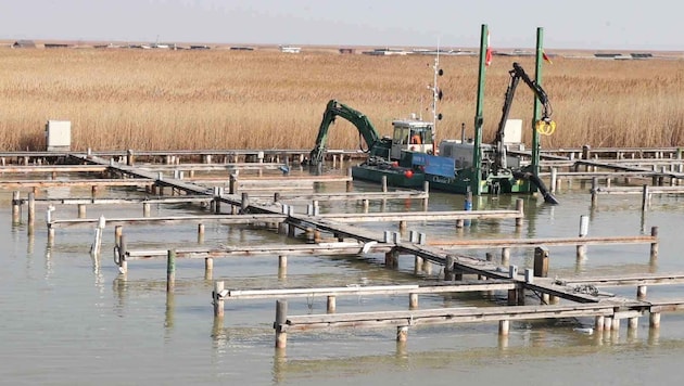 Noch bis Ende April werden Kanäle und Häfen in den Seegemeinden ausgebaggert