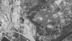 Von Bombardements des Ölhafens verbergen sich wohl auch in der Lobau viele Blindgänger