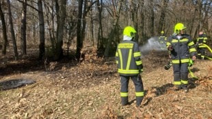Kurz nach Mittag brach das Feuer im trockenen Wald aus.