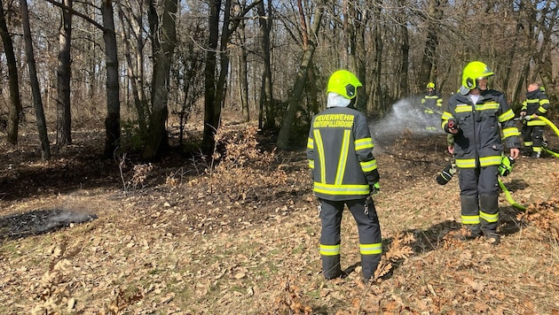 Kurz nach Mittag brach das Feuer im trockenen Wald aus.