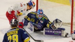 Bekam zum Masterround-Kehraus den Vorzug: Alois Schultes (Tor).