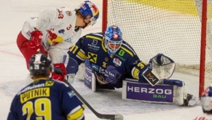 Bekam zum Masterround-Kehraus den Vorzug: Alois Schulte (Tor).