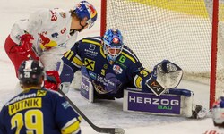 Bekam zum Masterround-Kehraus den Vorzug: Alois Schultes (Tor).