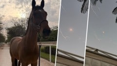 Wegen der kriegerischen Auseinandersetzungen im Nahen Osten wurde das erste Springturnier, das ...