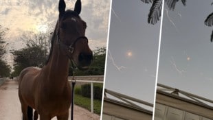 Wegen der kriegerischen Auseinandersetzungen im Nahen Osten wurde das erste Springturnier, das ...