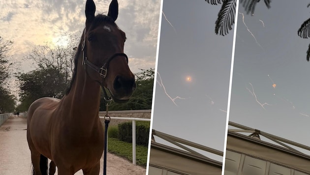 Wegen der kriegerischen Auseinandersetzungen im Nahen Osten wurde das erste Springturnier, das ...