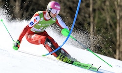 Dominik Raschner