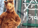 Militante Tierschützer nutzen für Bekennerschreiben und Kürzel an Tatorten „ALF“ – doch der ...