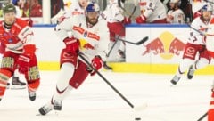 Auf wen treffen Thomas Raffl und Co. im Viertelfinale?