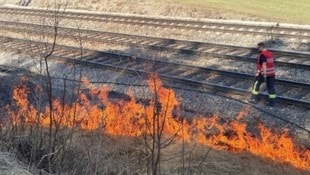 Einmal im Jahr wird das Geäst neben den Geleisen von den Feuerwehren entfernt. 