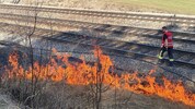 Einmal im Jahr wird das Geäst neben den Geleisen von den Feuerwehren entfernt. 