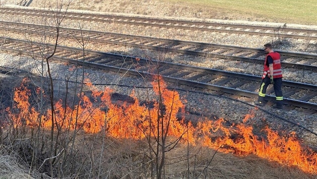 Einmal im Jahr wird das Geäst neben den Geleisen von den Feuerwehren entfernt.