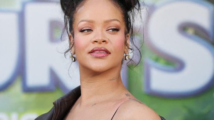 Verletzt wurde niemand, Rihanna kam mit dem Schrecken davon. Die Polizei verhaftete nach der ...
