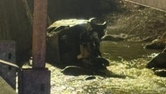 Das Auto blieb im Bachbett der Urslau liegen.