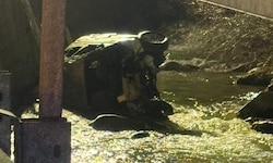 Das Auto blieb im Bachbett der Urslau liegen.