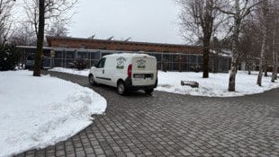 Im Tierheim in Villach leben alle verträglichen Hunde in Gruppen zusammen – das stärkt ihr ...