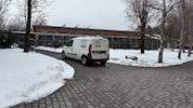 Im Tierheim in Villach leben alle verträglichen Hunde in Gruppen zusammen – das stärkt ihr ...