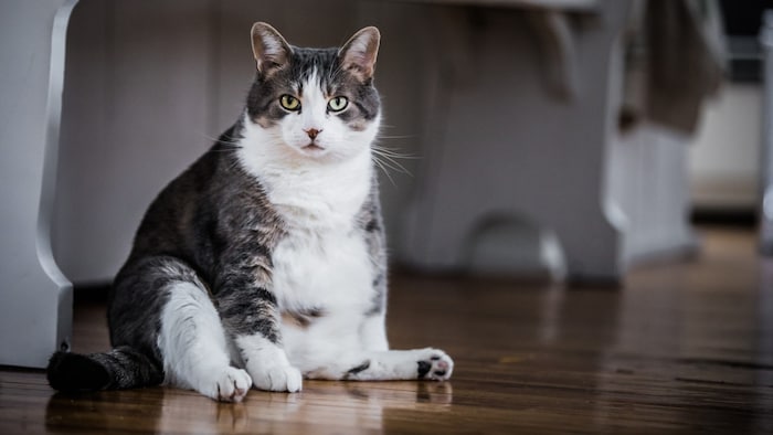 Rundum glücklich oder nur rund?