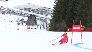Nach FIS-Rennen in diesem Winter steigen im nächsten im Salzkammergut Weltcup-Rennen.   