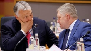 Ihre Länder sind auf das russische Öl durch die Druschba-Pipeline angewiesen: Die ...