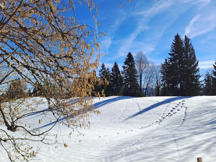 Bliebt es weiterhin so frühlingshaft,