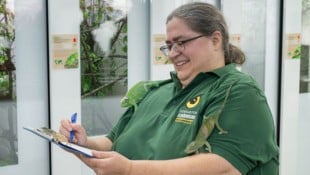 Jahr für Jahr veröffentlicht der Schönbrunner Zoo eine Inventur seines Tierbestands. Niemand ...