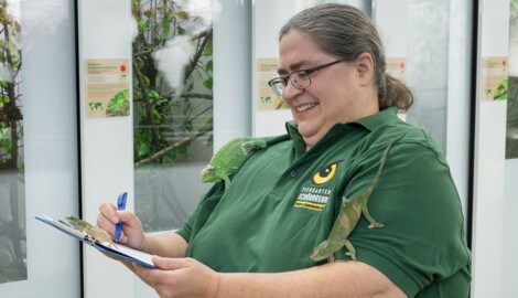 Jahr für Jahr veröffentlicht der Schönbrunner Zoo eine Inventur seines Tierbestands. Niemand ...
