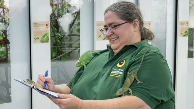 Jahr für Jahr veröffentlicht der Schönbrunner Zoo eine Inventur seines Tierbestands. Niemand ...
