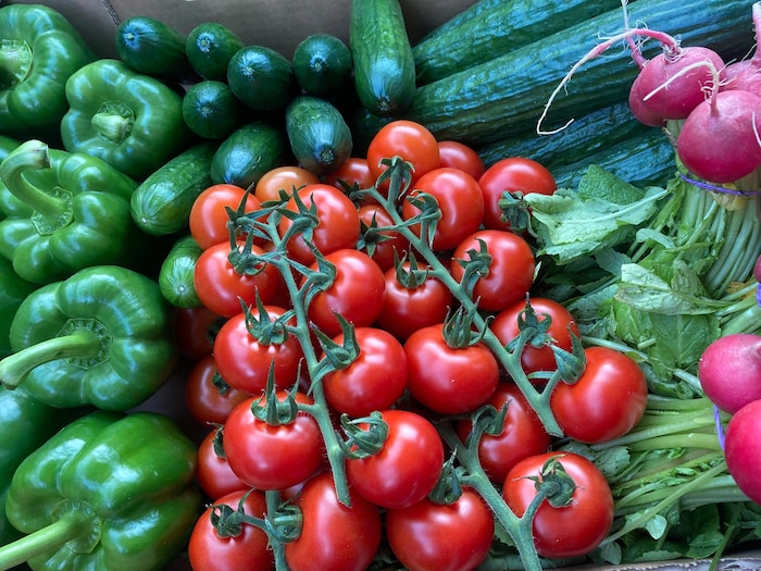 Paprika, Gurken, Paradeiser und Radieschen hat Perlinger Gemüse derzeit im Sortiment.
