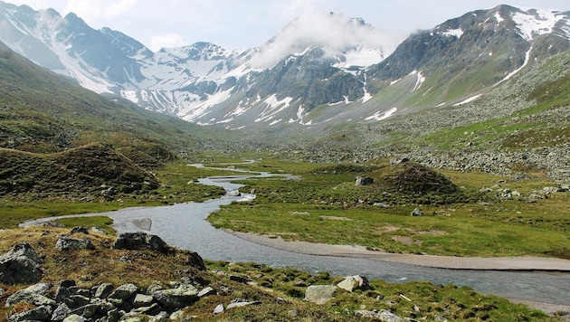 Das Platzertal sieht der Umweltanwalt als unbedingt erhaltenswert.