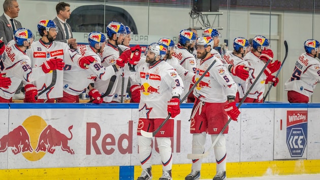 Jubel bei den Eisbullen! Ein Stürmer wurde kürzlich erneut Papa.