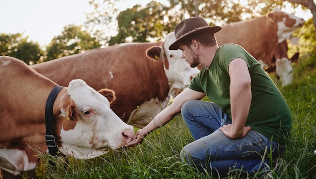 Steirische Biobauern setzen auch auf artgerechte Tierhaltung.