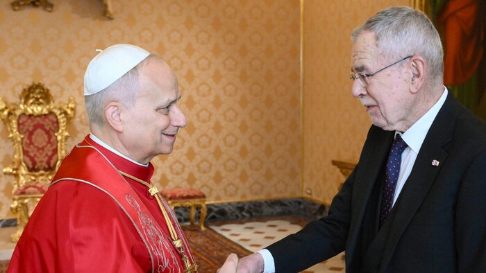 Papst Leo und Bundespräsident Alexander Van der Bellen.