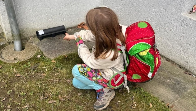 Die Rattenköder wurden mitten in der Siedlung ausgelegt – frei zugänglich, wie dieses Mädchen ...