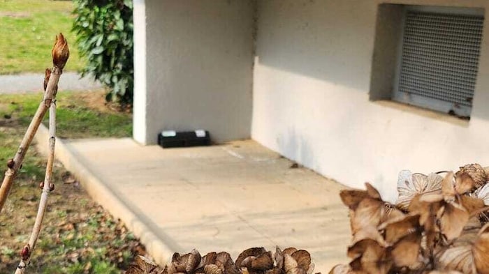 Dutzende der Köder waren in diesem Bereich ausgelegt worden.