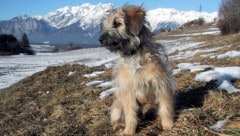 Der gesamte Winter – also Dezember bis Februar – gehörte in Europa zwar zu den zwei kältesten ...