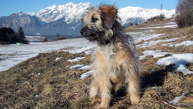 Der gesamte Winter – also Dezember bis Februar – gehörte in Europa zwar zu den zwei kältesten ...