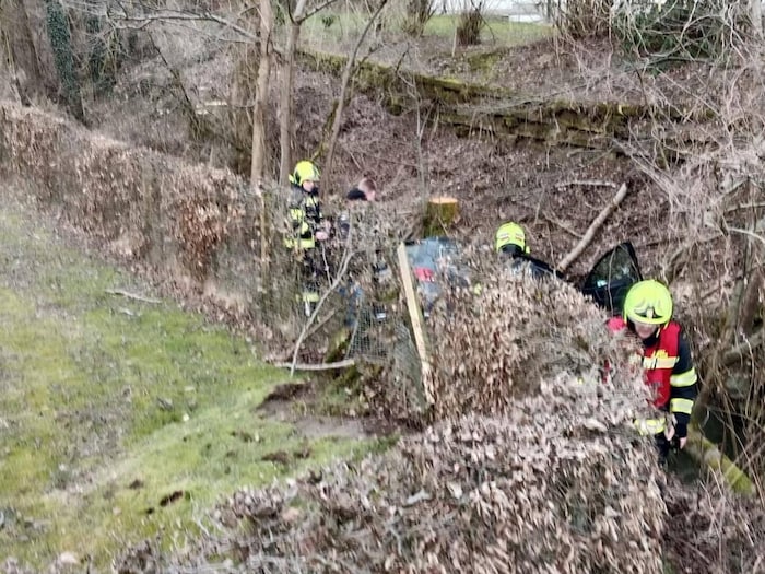 Der Wagen durchschlug auch eine Hecke.