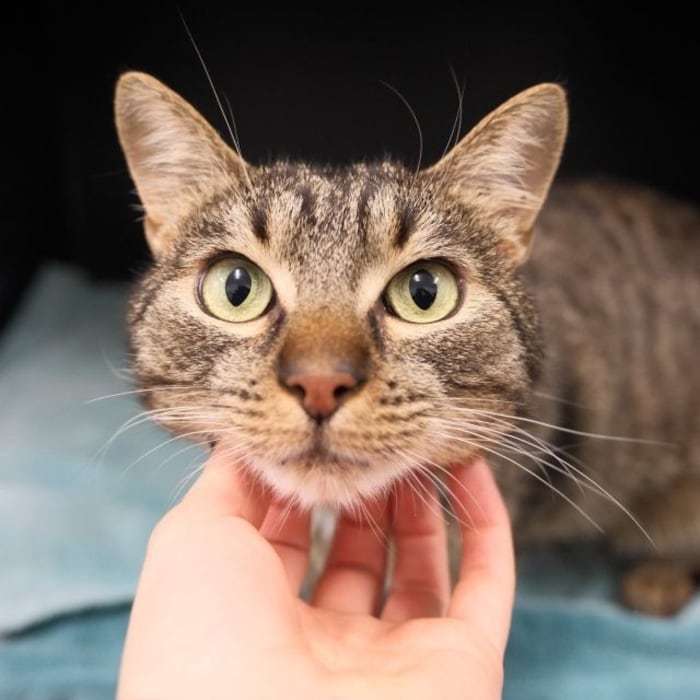 Hat niemand ein Zuhause für mich?